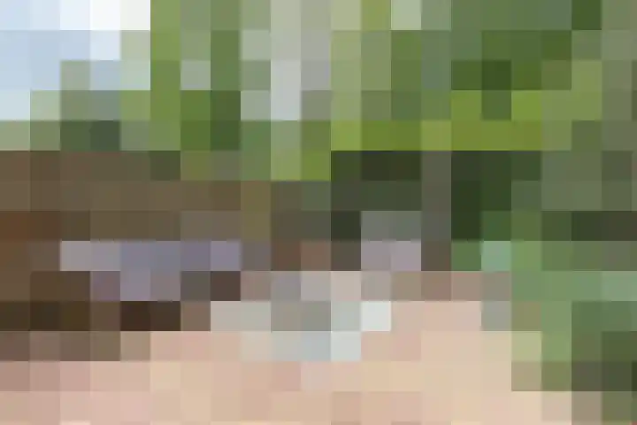 Nijlandsingel 48 Aduard thumbnail 11