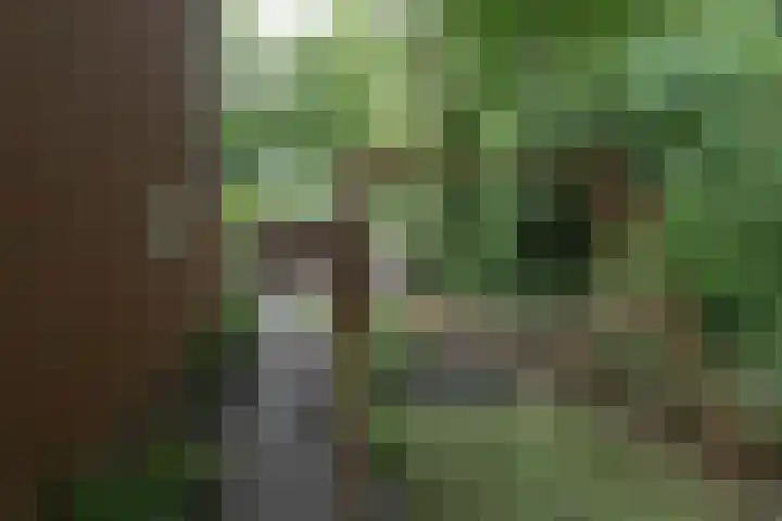 Nijlandsingel 48 Aduard thumbnail 14