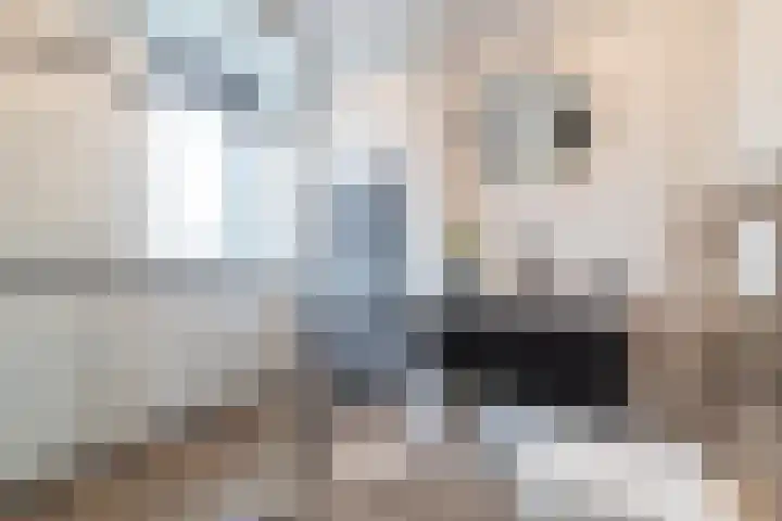 Nijlandsingel 48 Aduard thumbnail 26