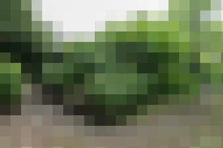 Nijlandsingel 48 Aduard thumbnail 35