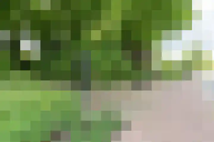 Nijlandsingel 48 Aduard thumbnail 36