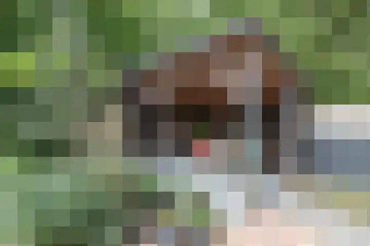 Nijlandsingel 48 Aduard thumbnail 4