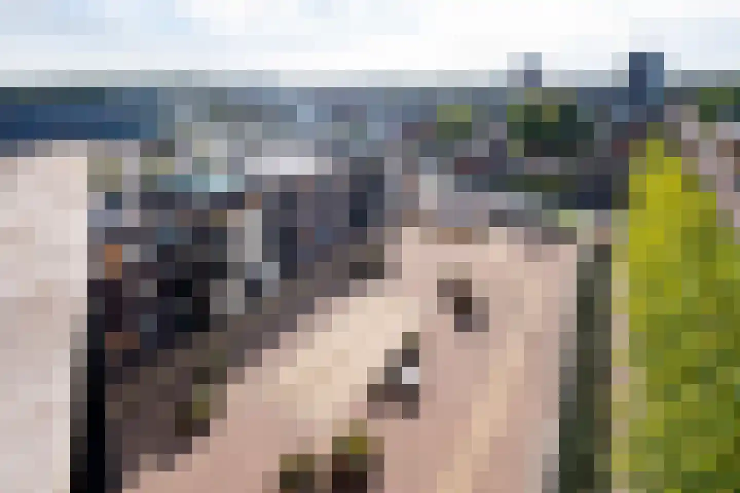 Nijlandstraat 115 E Assen thumbnail 38