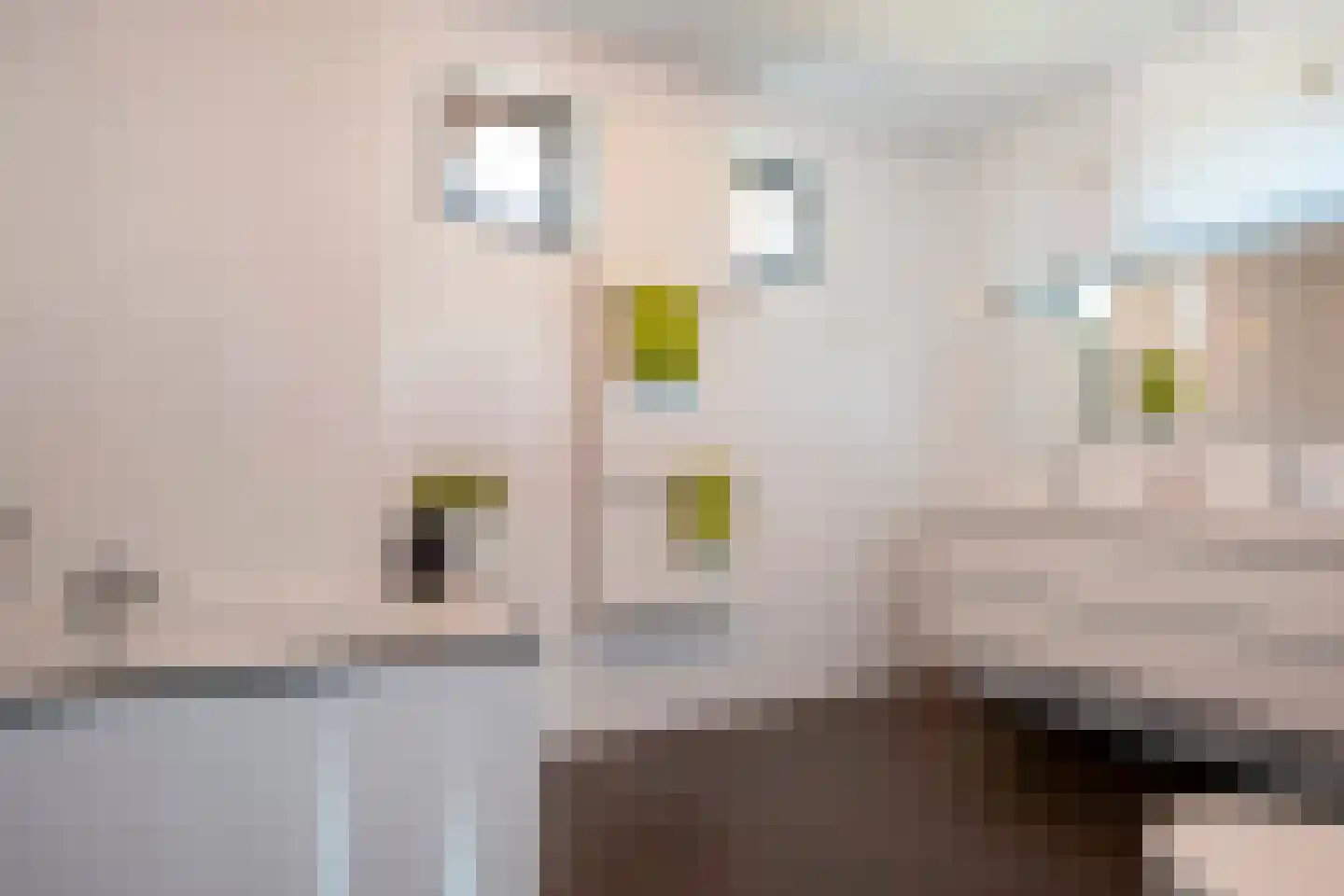 Nijlandstraat 115 E Assen thumbnail 5
