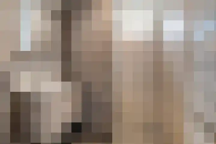 Nijlandstraat 32 Wijhe thumbnail 25