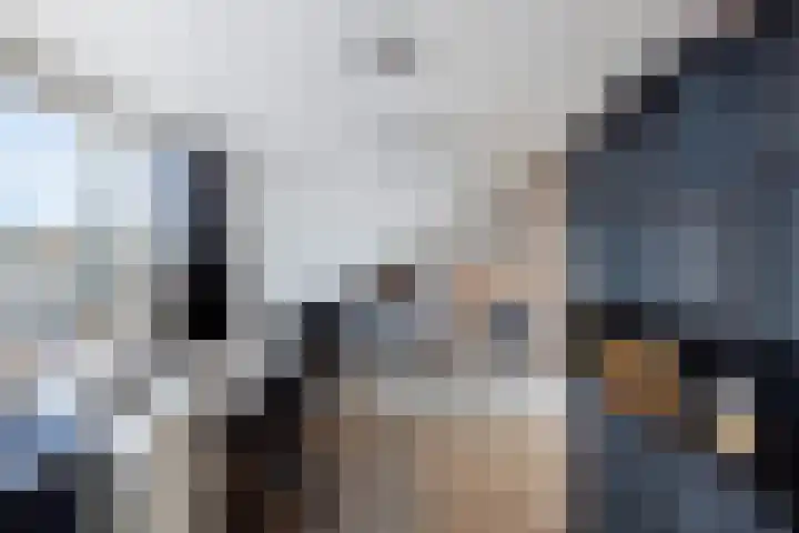 Nijlandstraat 32 Wijhe thumbnail 31