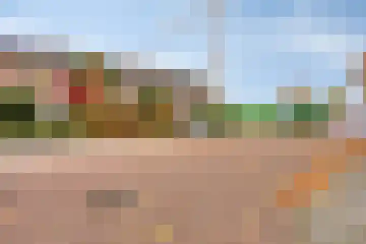 Nijlandstraat 32 Wijhe thumbnail 4