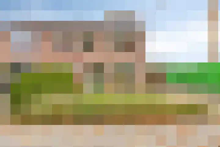 Nijlandstraat 32 Wijhe thumbnail 5