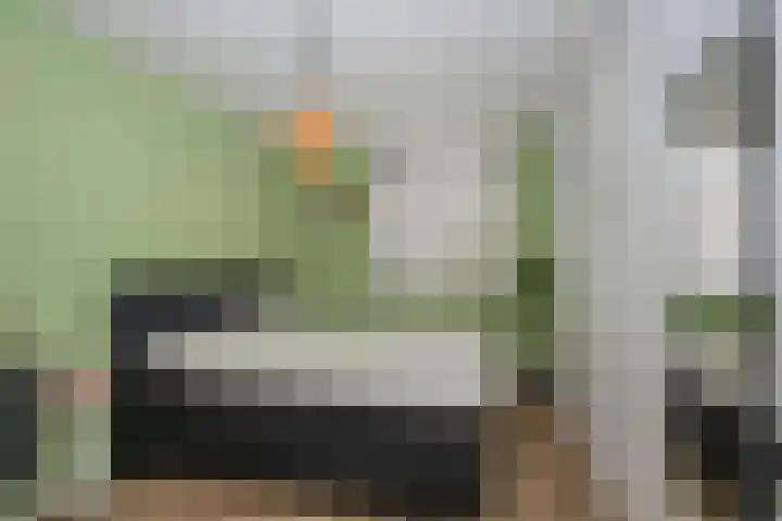 Nijlandstraat 51 Rijssen thumbnail 17