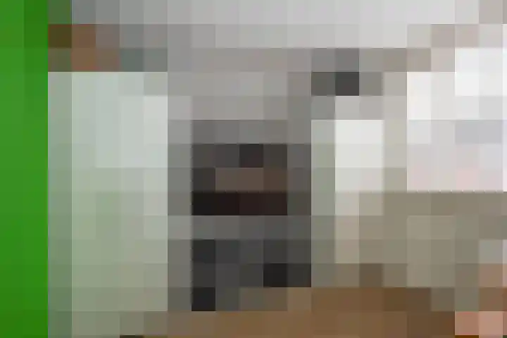 Nijlandstraat 51 Rijssen thumbnail 19