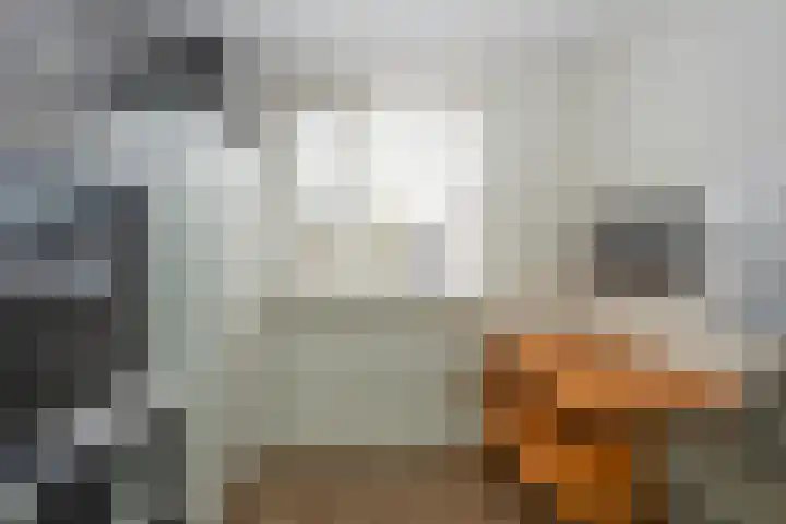 Nijlandstraat 51 Rijssen thumbnail 20