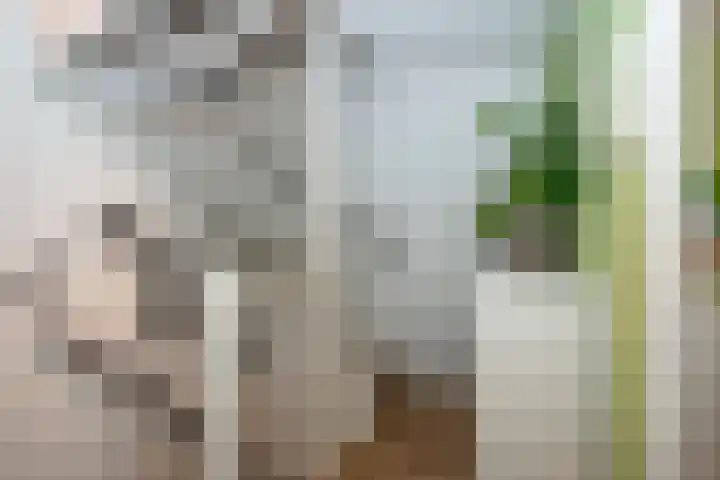 Nijlandstraat 51 Rijssen thumbnail 21