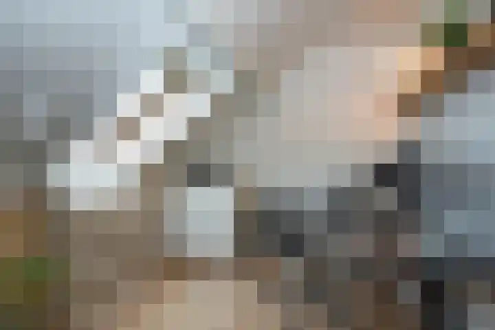 Nijlandstraat 51 Rijssen thumbnail 24
