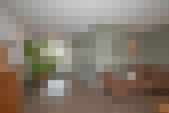 Nijlandstraat 51 Rijssen thumbnail 4