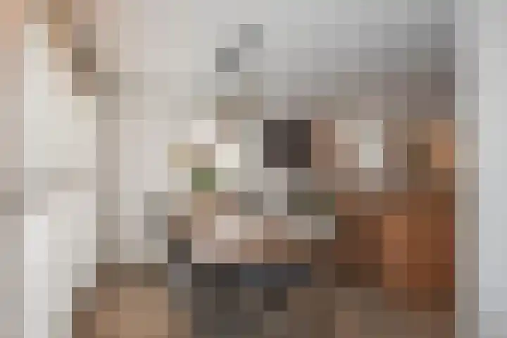 Nijlandstraat 51 Rijssen thumbnail 5