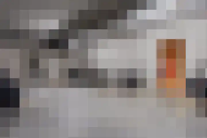 Nijlandstraat 71 Assen thumbnail 41