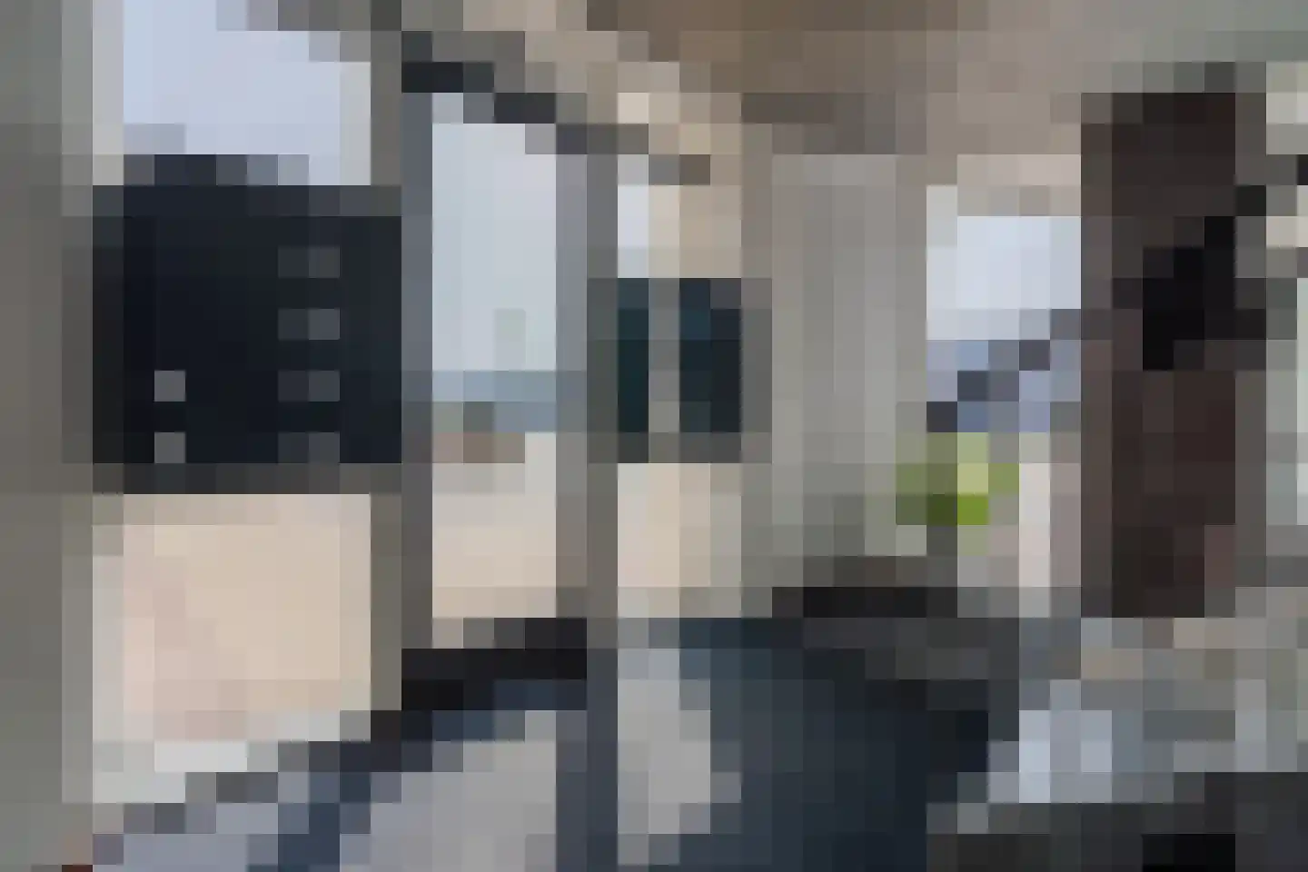 Nijlandstraat 71 Assen thumbnail 7