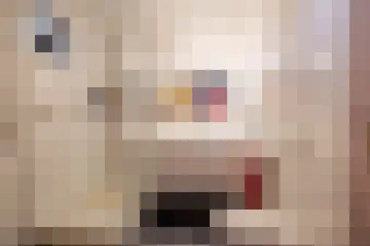 Nijlandstraat 73 Assen thumbnail 23