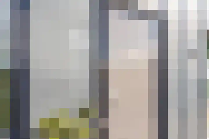 Nijlandstraat 98 Assen thumbnail 18
