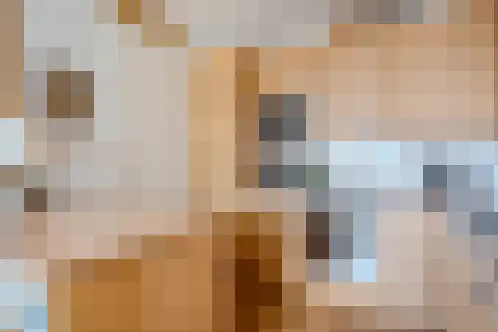 Nijlandstraat 98 Assen thumbnail 33