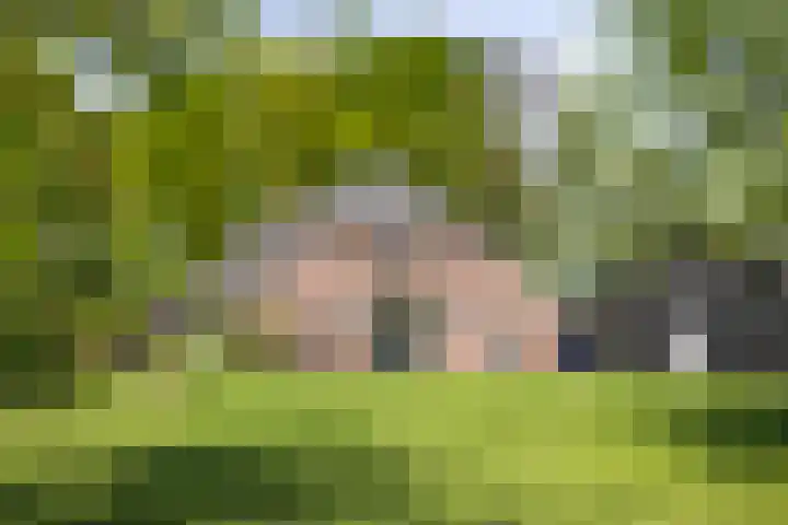 Nijlandweg 2 A in Vorden