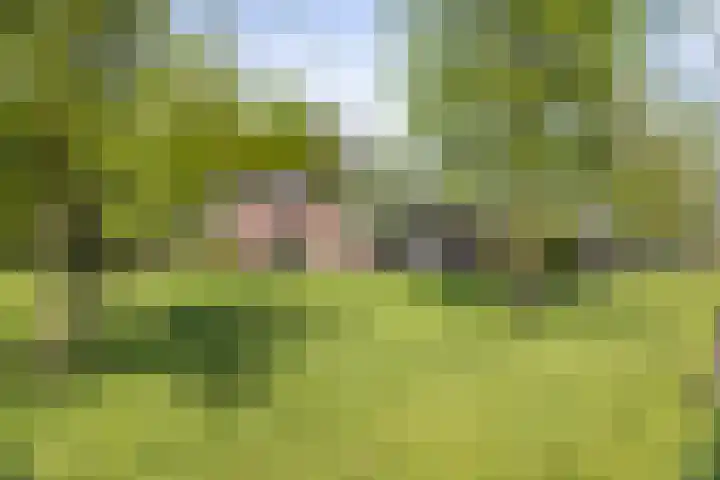 Nijlandweg 2 A Vorden thumbnail 10