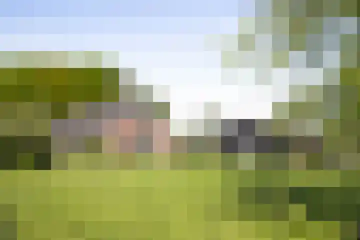 Nijlandweg 2 A Vorden thumbnail 11