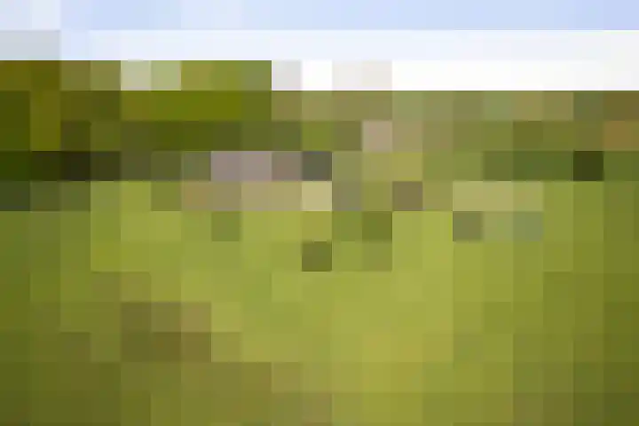 Nijlandweg 2 A Vorden thumbnail 12