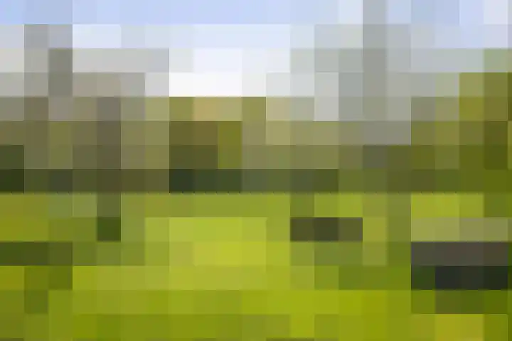 Nijlandweg 2 A Vorden thumbnail 13