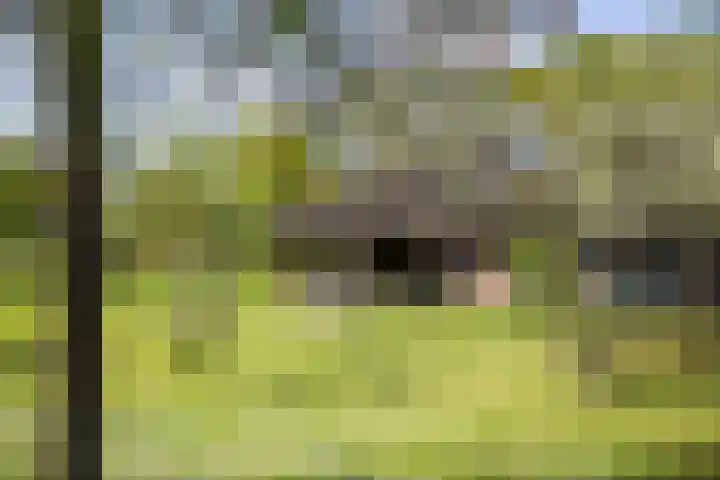 Nijlandweg 2 A Vorden thumbnail 14