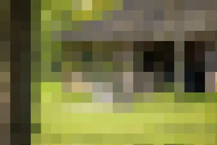 Nijlandweg 2 A Vorden thumbnail 15