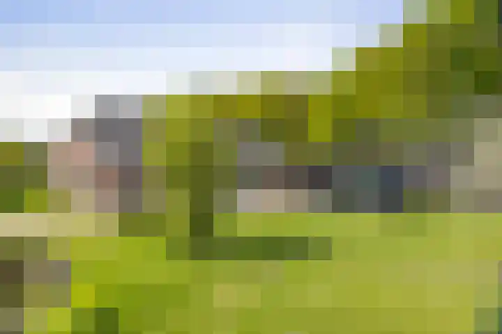 Nijlandweg 2 A Vorden thumbnail 16