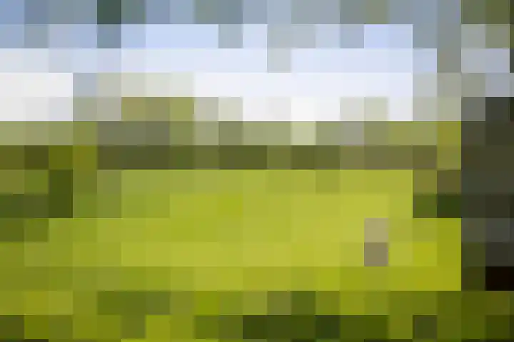 Nijlandweg 2 A Vorden thumbnail 17