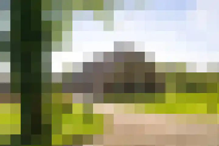 Nijlandweg 2 A Vorden thumbnail 18