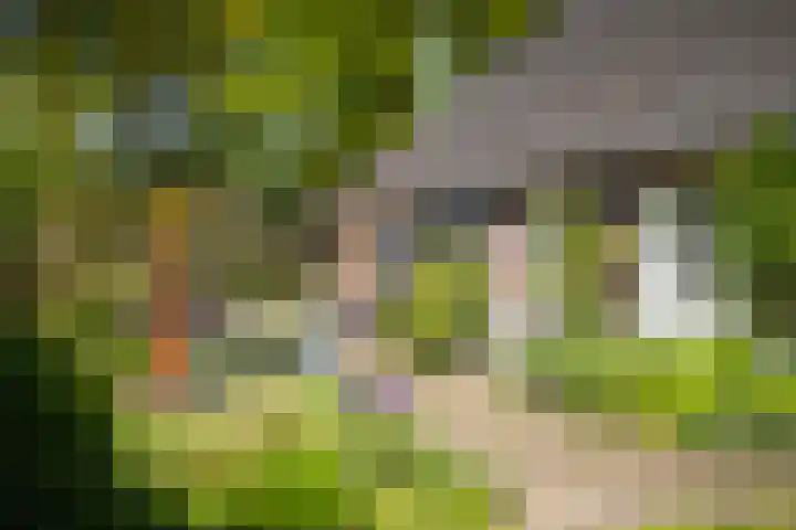 Nijlandweg 2 A Vorden thumbnail 19