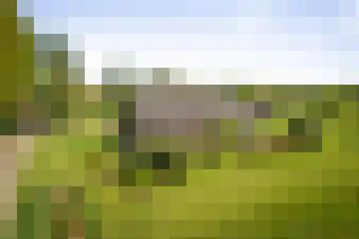 Nijlandweg 2 A Vorden foto 2