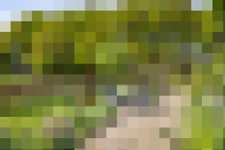 Nijlandweg 2 A Vorden thumbnail 28