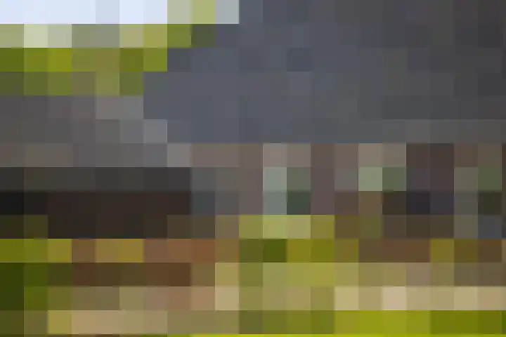 Nijlandweg 2 A Vorden thumbnail 31