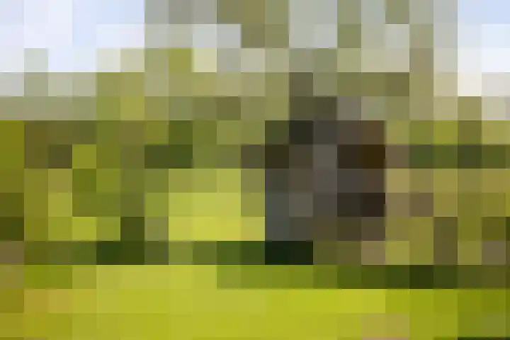 Nijlandweg 2 A Vorden thumbnail 33
