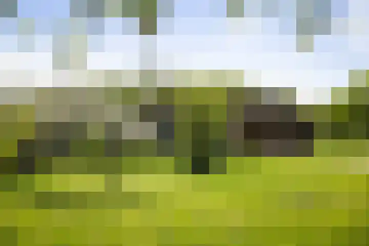 Nijlandweg 2 A Vorden thumbnail 34