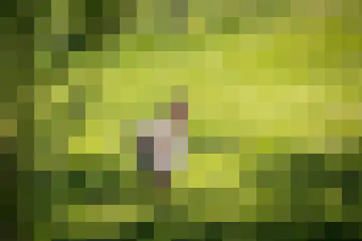 Nijlandweg 2 A Vorden thumbnail 35