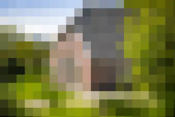 Nijlandweg 2 A Vorden thumbnail 36