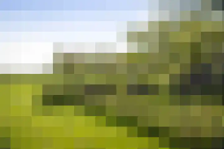 Nijlandweg 2 A Vorden thumbnail 37