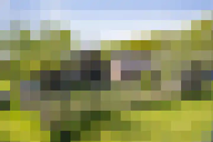 Nijlandweg 2 A Vorden thumbnail 38