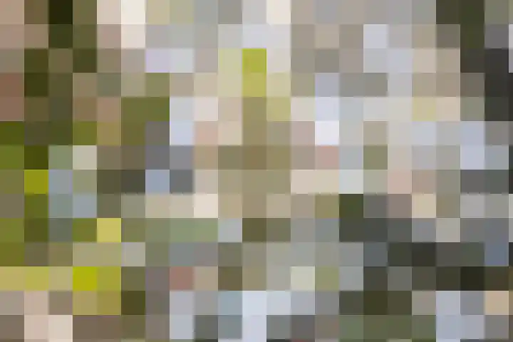 Nijlandweg 2 A Vorden thumbnail 39