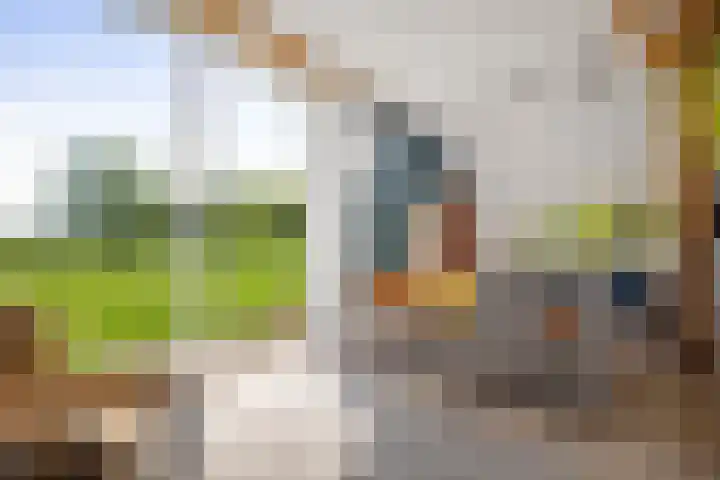 Nijlandweg 2 A Vorden thumbnail 4