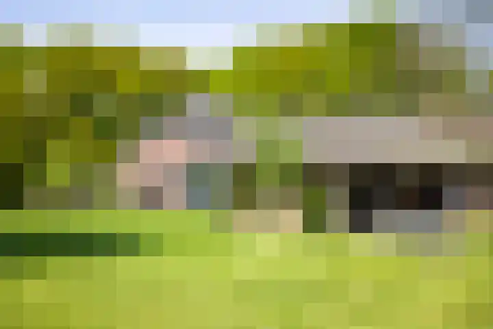 Nijlandweg 2 A Vorden thumbnail 40