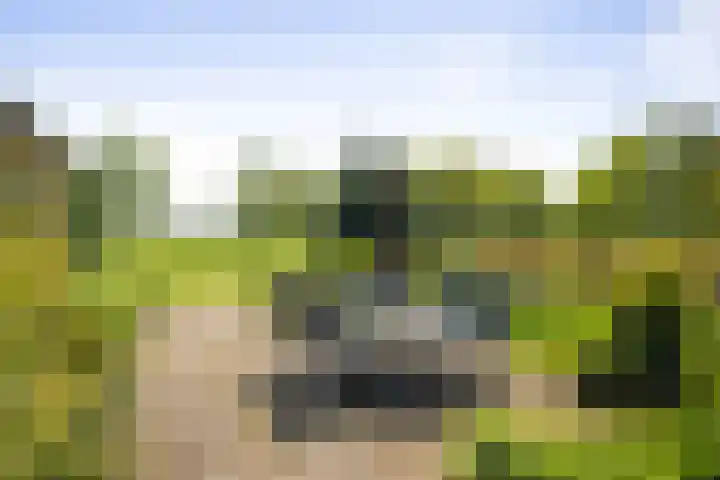 Nijlandweg 2 A Vorden thumbnail 41