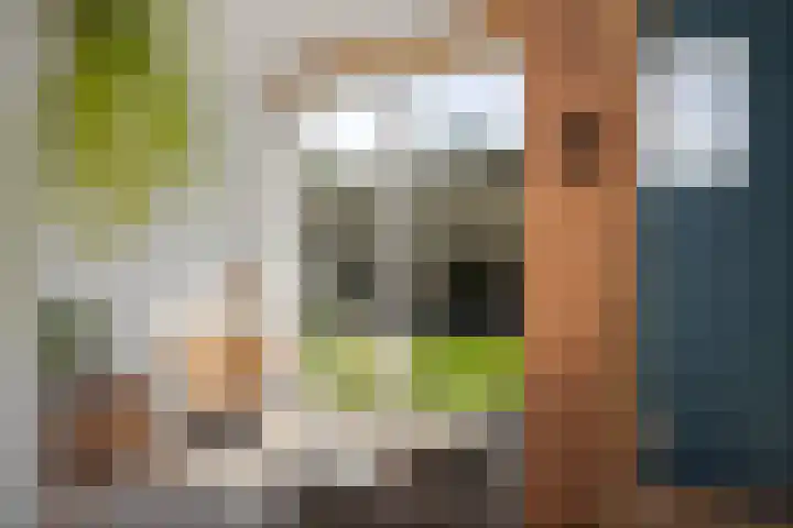 Nijlandweg 2 A Vorden thumbnail 5