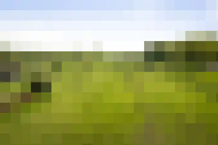 Nijlandweg 2 A Vorden thumbnail 55